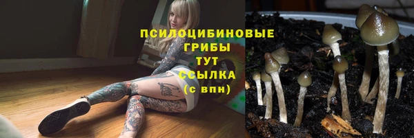гидра Алексеевка