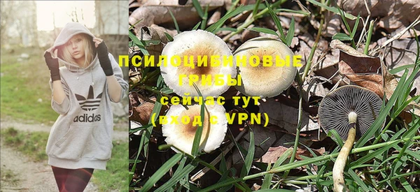 гидра Алексеевка