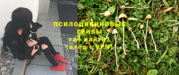 гидра Алексеевка