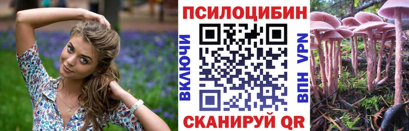 Псилоцибиновые грибы Magic Shrooms  что такое   Пикалёво 